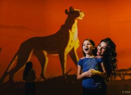Immersive Disney Animation