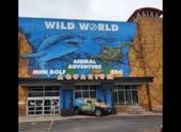 Branson's Wild World