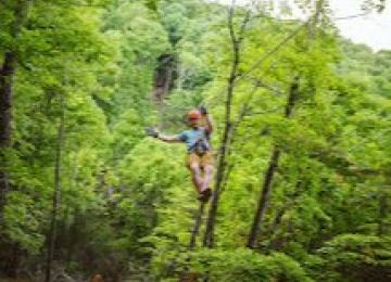 Shepherd of the Hills Zipline Canopy Tour