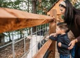 Shepherd of the Hills Adventure Park 