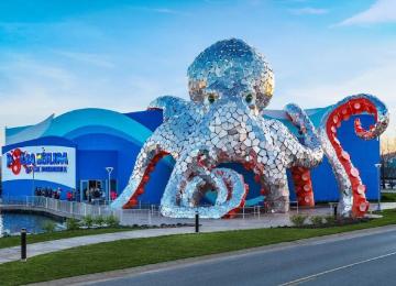 Aquarium at the Boardwalk