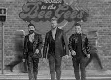 Back to the Bee Gees