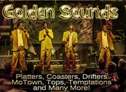 Platters  the Golden Sounds of the 50's Tribute