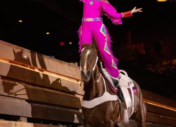 Dolly Parton's Stampede Dinner Attraction