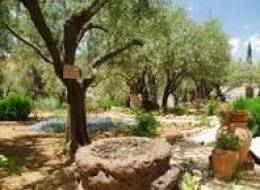 Where Jesus Walked